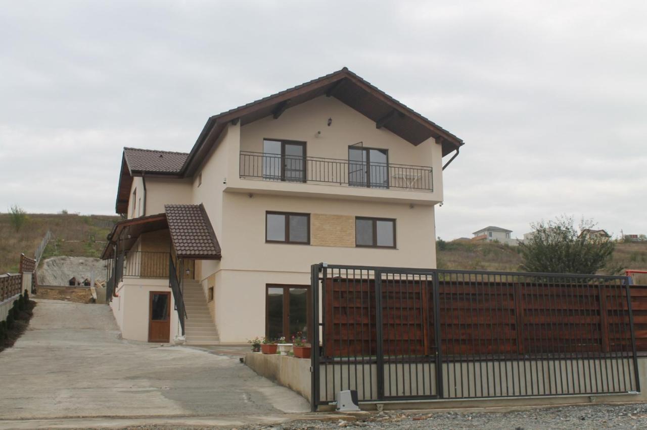Pensiunea Giulia Home Dezmir Exterior foto